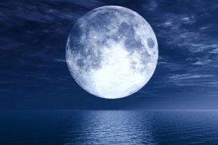 结合星座月历和月亮能量的生活提示